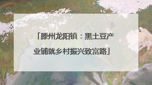 滕州龙阳镇：黑土豆产业铺就乡村振兴致富路